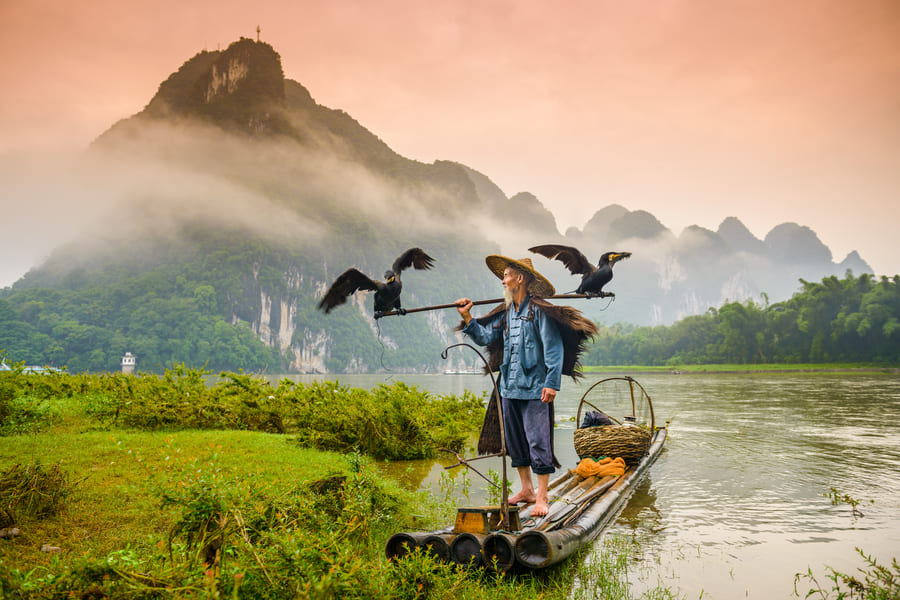 Pescador tradicional chino en balsa de bambú con aves cormoranes en el río Li, con montañas kársticas con niebla en Yangshuo, Guilin.